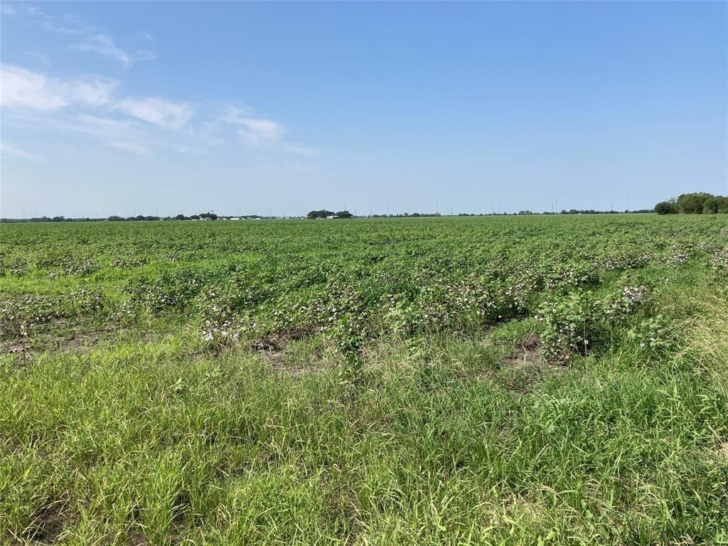 TBD Hwy 60 Highway, East Bernard, Texas image 2