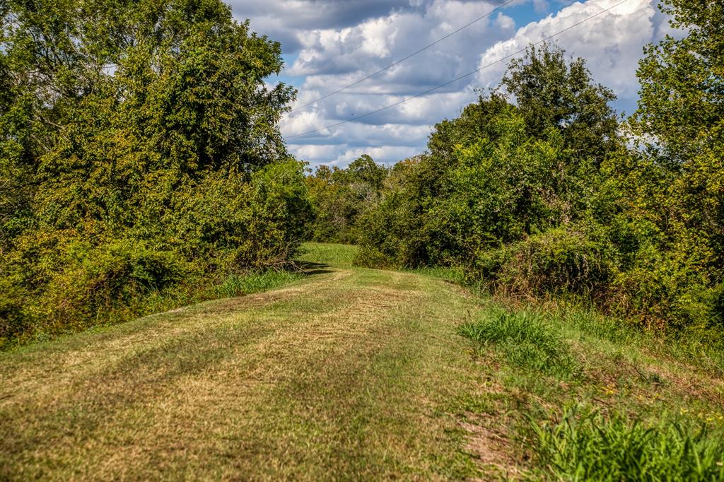 16611 Fm 1155, Washington, Texas image 4