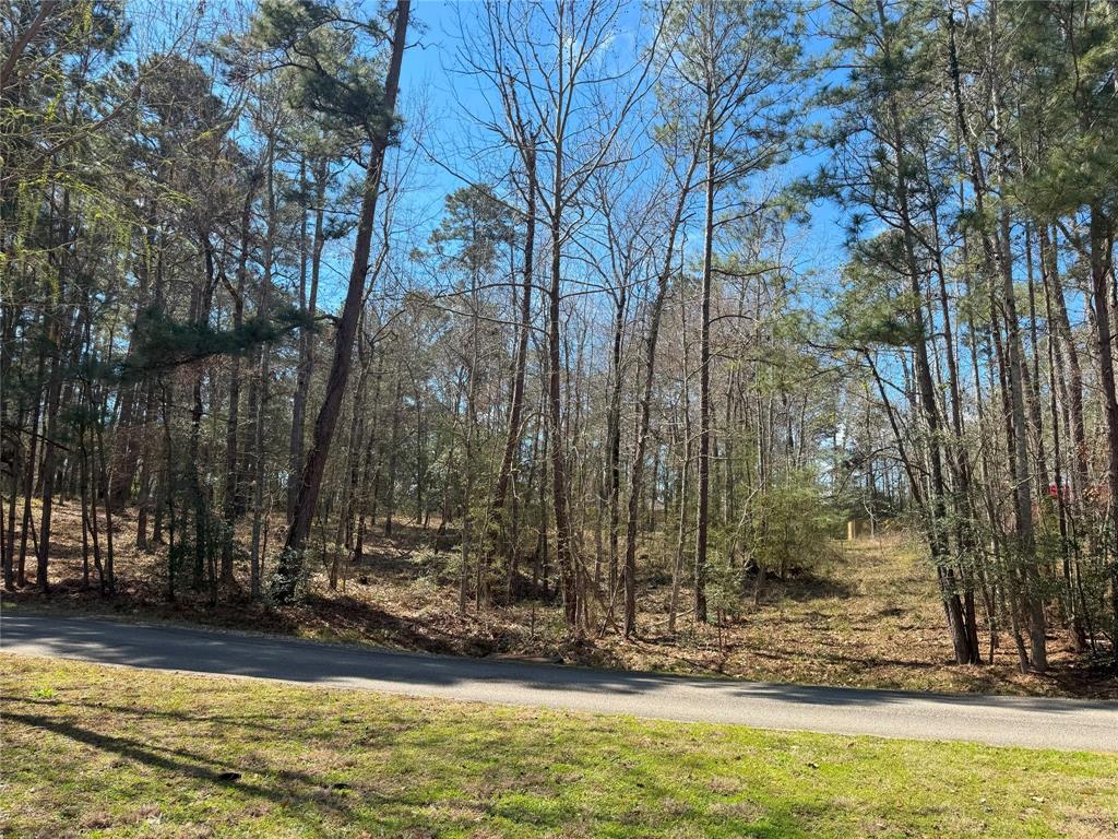 178 & 182 Twinstone Circle, Coldspring, Texas image 8