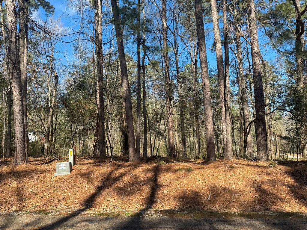 178 & 182 Twinstone Circle, Coldspring, Texas image 2