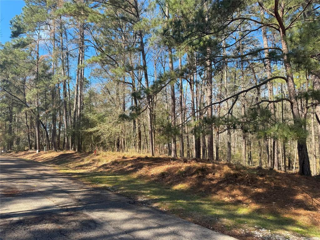 178 & 182 Twinstone Circle, Coldspring, Texas image 4