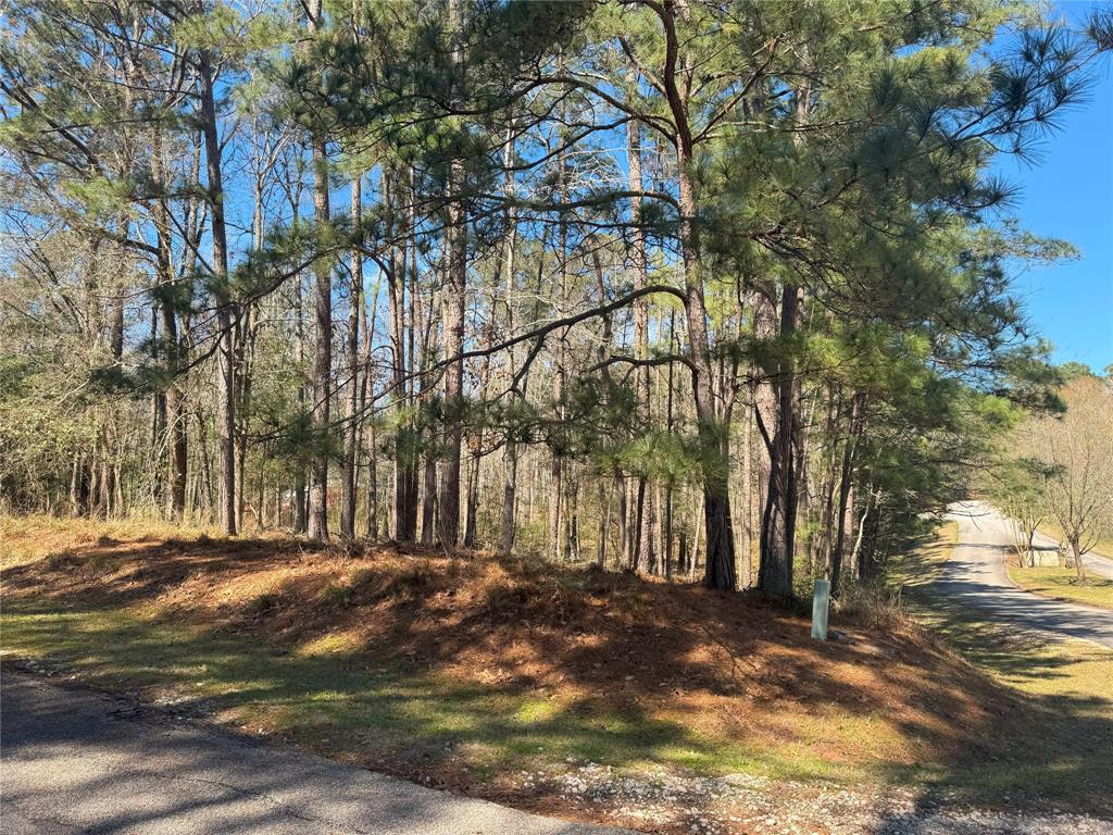 178 & 182 Twinstone Circle, Coldspring, Texas image 1