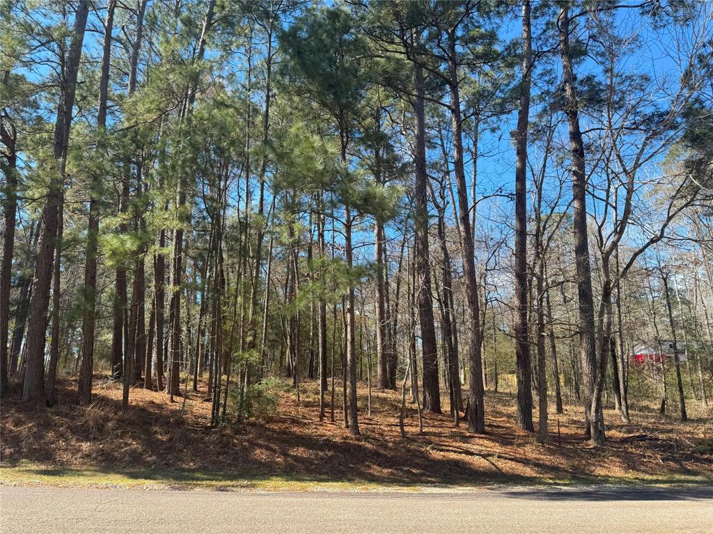 178 & 182 Twinstone Circle, Coldspring, Texas image 7