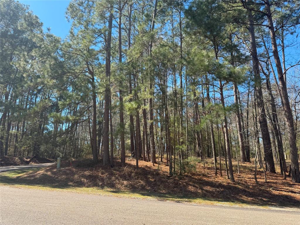 178 & 182 Twinstone Circle, Coldspring, Texas image 6