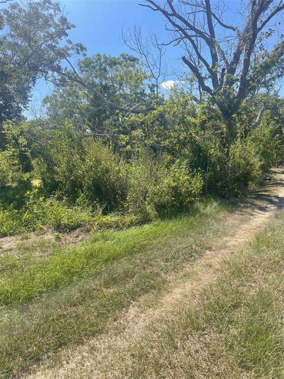 County Road 197 Times Road, Bay City, Texas image 7