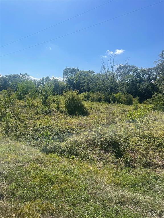 County Road 197 Times Road, Bay City, Texas image 6