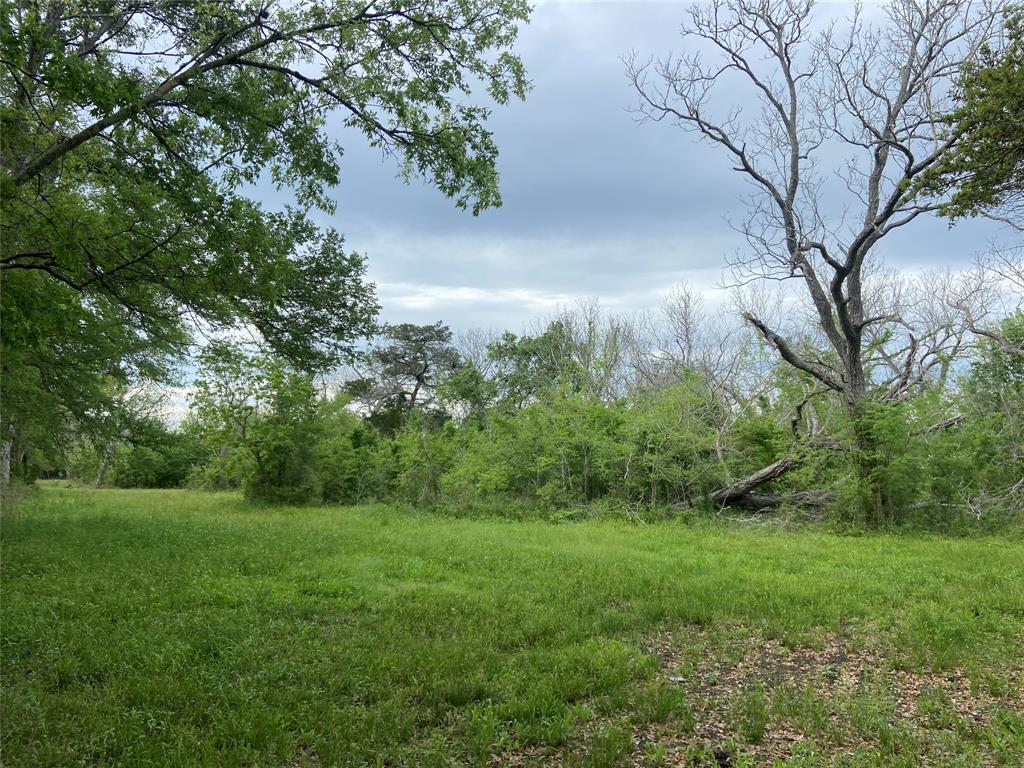 County Road 197 Times Road, Bay City, Texas image 9