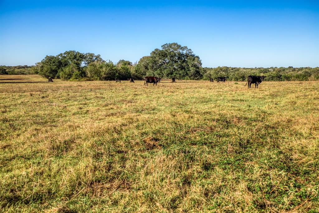 00 Sawmill Road Tract 1, Brenham, Texas image 5