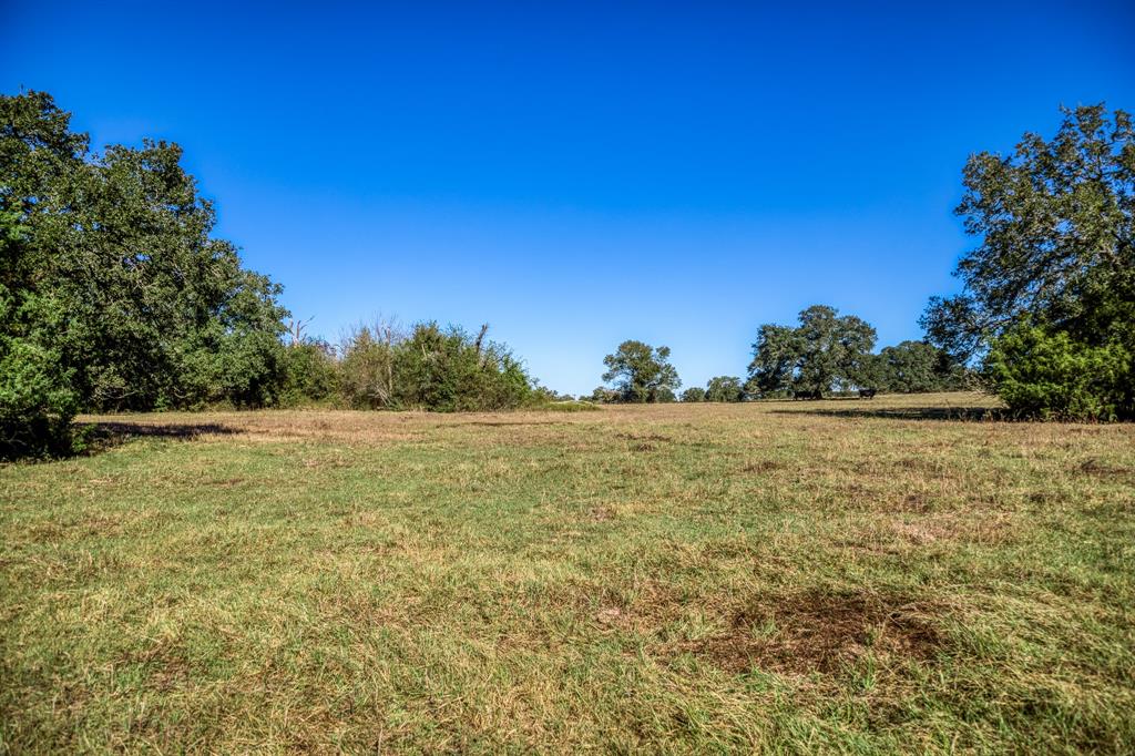 00 Sawmill Road Tract 1, Brenham, Texas image 7