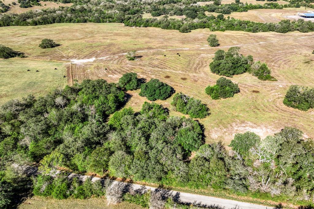 00 Sawmill Road Tract 1, Brenham, Texas image 9