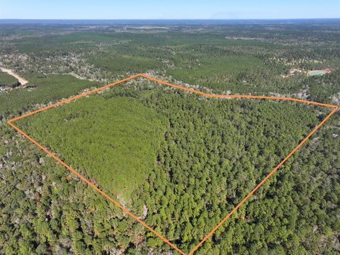 0 Tanyard Road Willis TX 77378