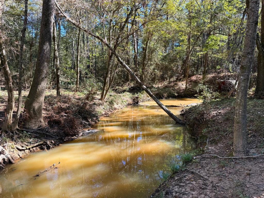 Tanyard Road, Willis, Texas image 7