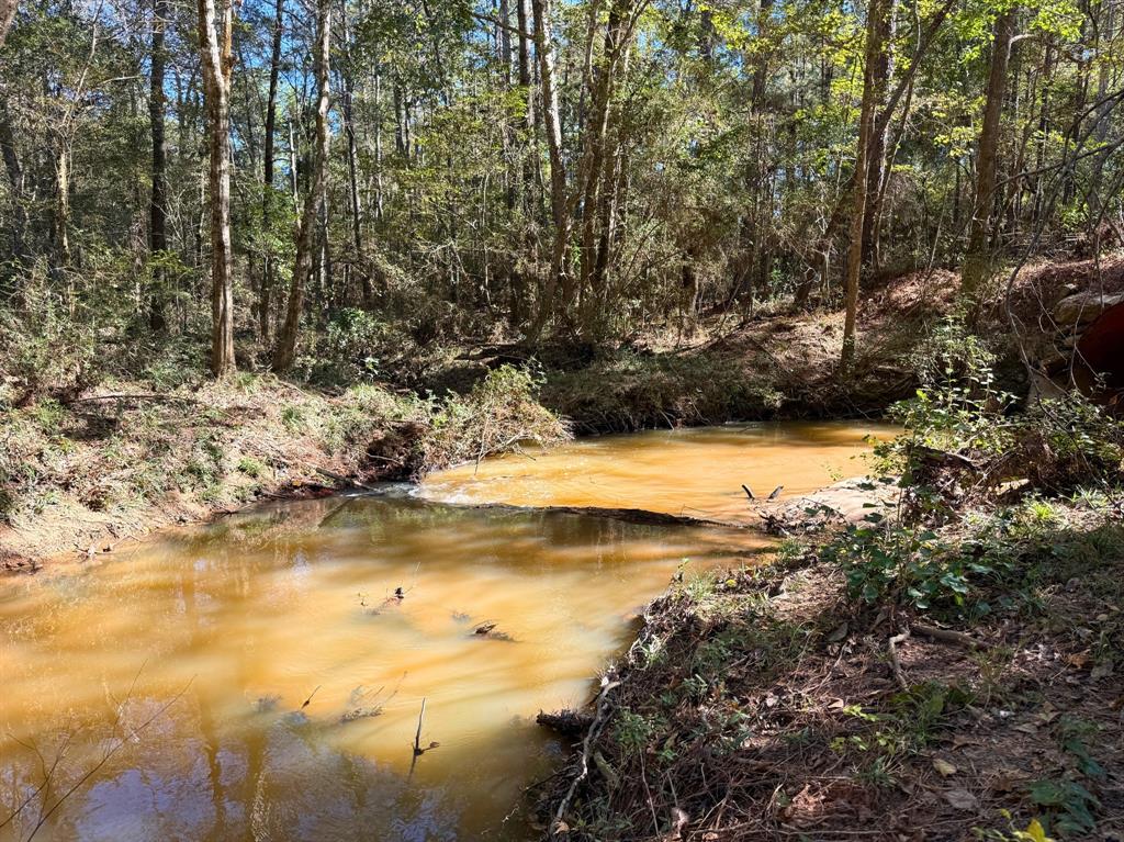 Tanyard Road, Willis, Texas image 4