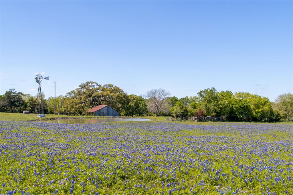 2270 Young Lane, Flatonia, Texas image 7