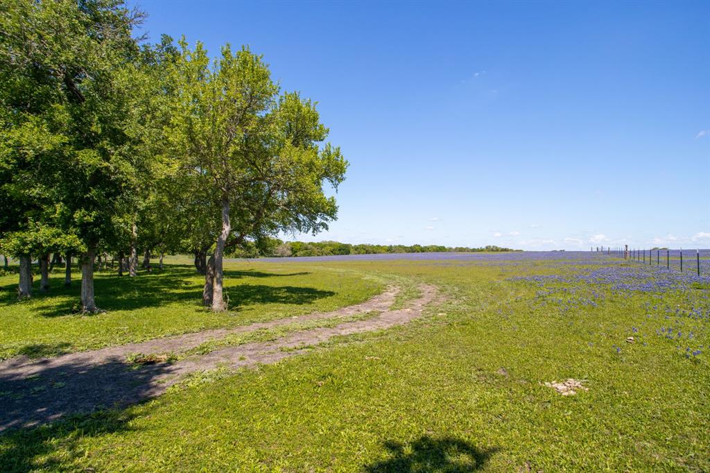 2270 Young Lane, Flatonia, Texas image 9