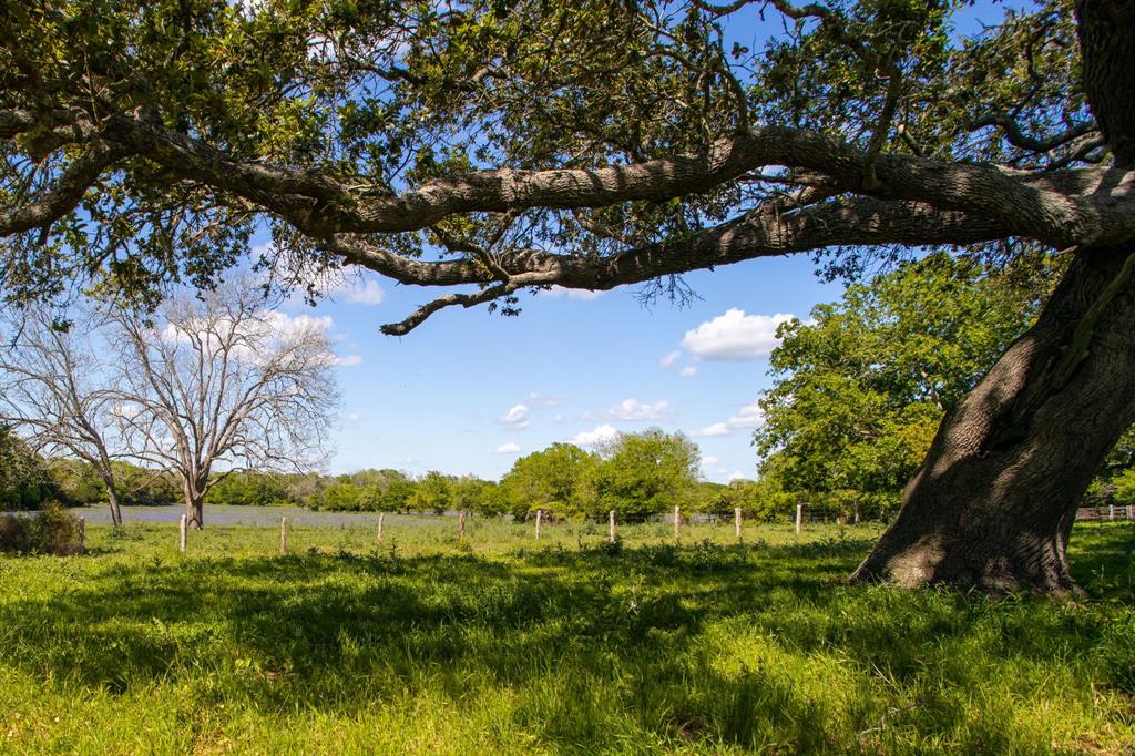 2270 Young Lane, Flatonia, Texas image 14