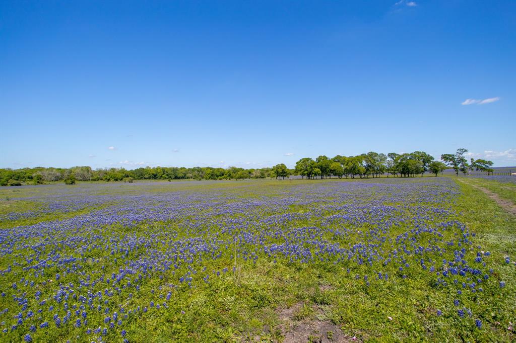 2270 Young Lane, Flatonia, Texas image 6