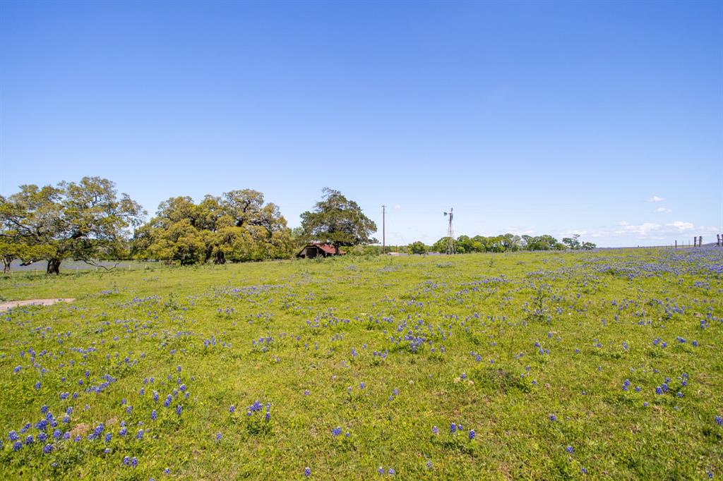 2270 Young Lane, Flatonia, Texas image 4