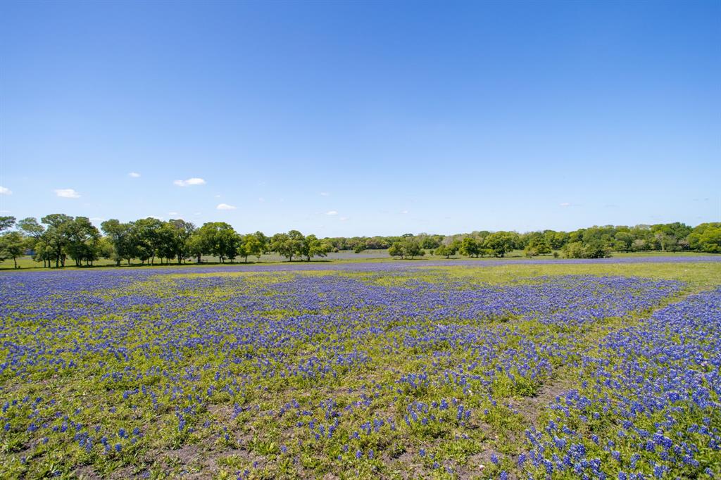 2270 Young Lane, Flatonia, Texas image 10