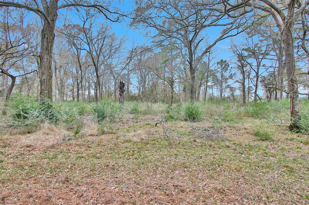 5747 Spring Branch Road, Montgomery, Texas image 24