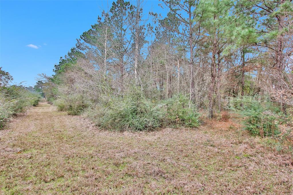5747 Spring Branch Road, Montgomery, Texas image 20