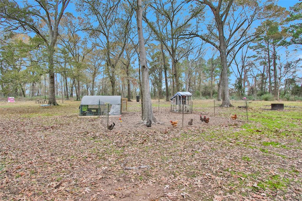 5747 Spring Branch Road, Montgomery, Texas image 18