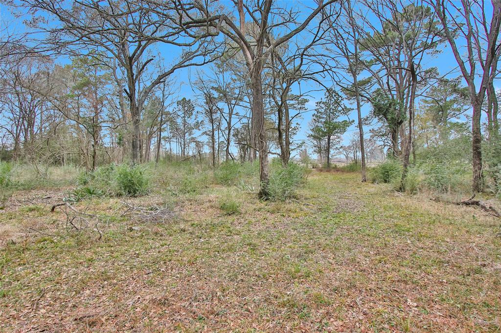 5747 Spring Branch Road, Montgomery, Texas image 23