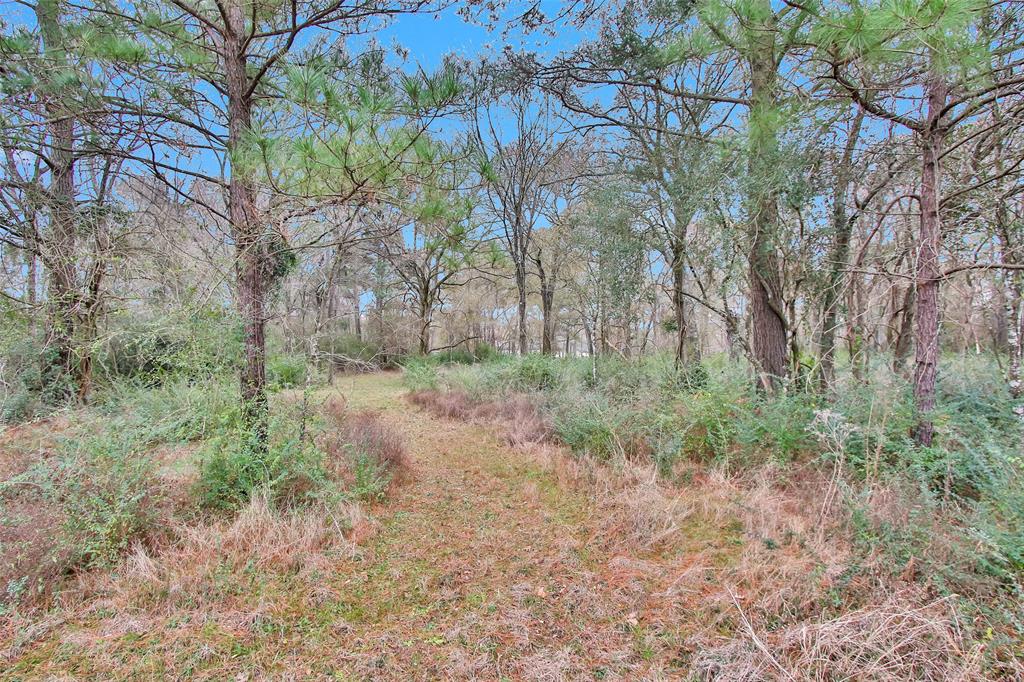5747 Spring Branch Road, Montgomery, Texas image 22
