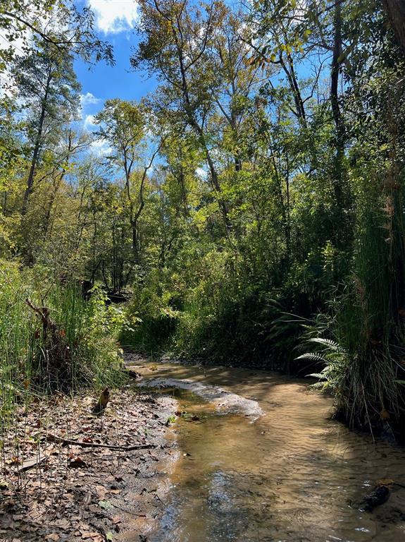 Sellers Road, Coldspring, Texas image 10