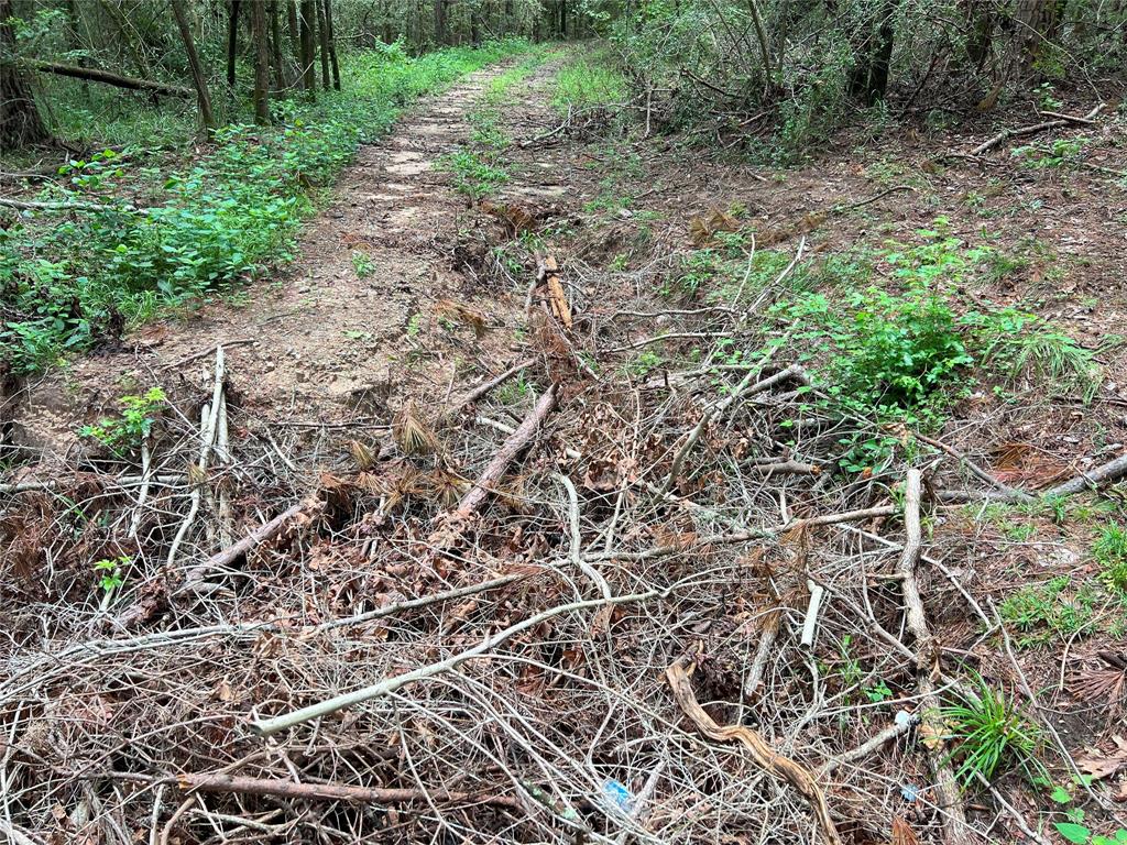 Sellers Road, Coldspring, Texas image 18