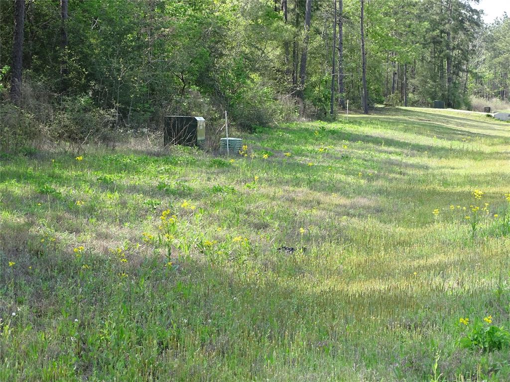 10774 Ruger Road, Willis, Texas image 3