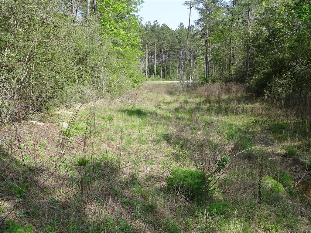 10774 Ruger Road, Willis, Texas image 10