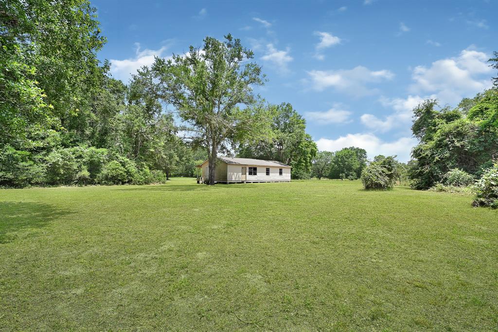 26417 Bedias Drive, Bedias, Texas image 9