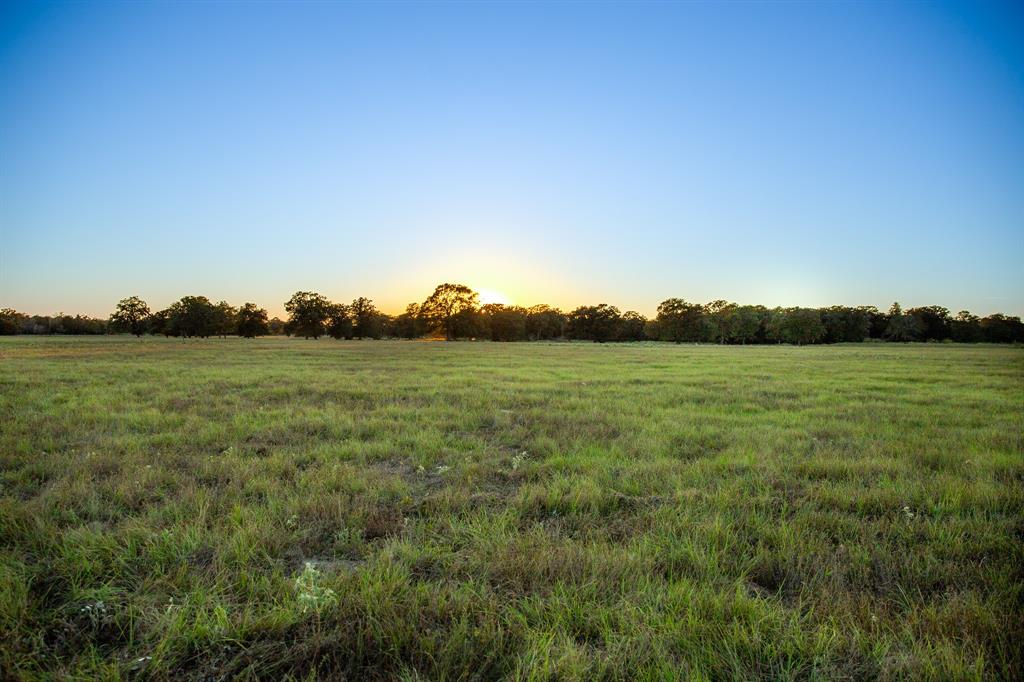 000 Cummins Creek Road, New Ulm, Texas image 3