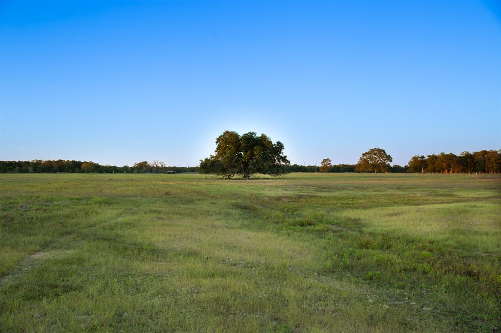 000 Cummins Creek Road, New Ulm, Texas image 5