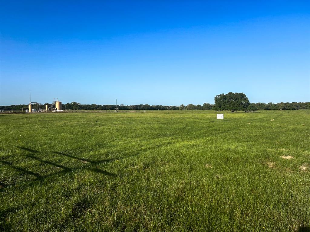 000 Cummins Creek Road, New Ulm, Texas image 4
