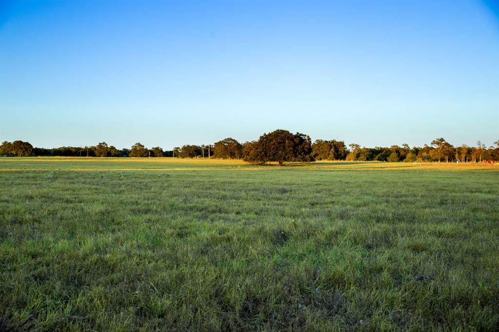 000 Cummins Creek Road, New Ulm, Texas image 1