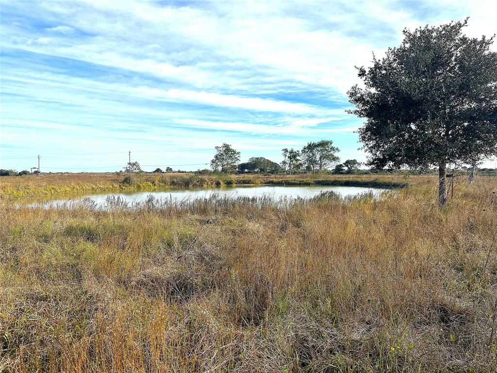 24810 Fm-2004, Angleton, Texas image 9