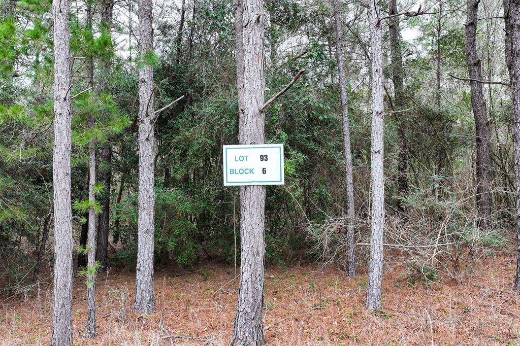 00 Remington Road, Huntsville, Texas image 2