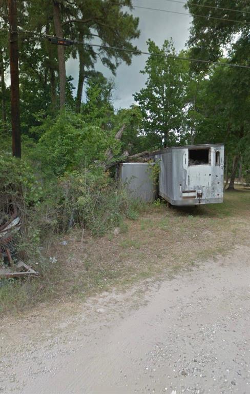 Dogwood Lane, Houston, Texas image 2