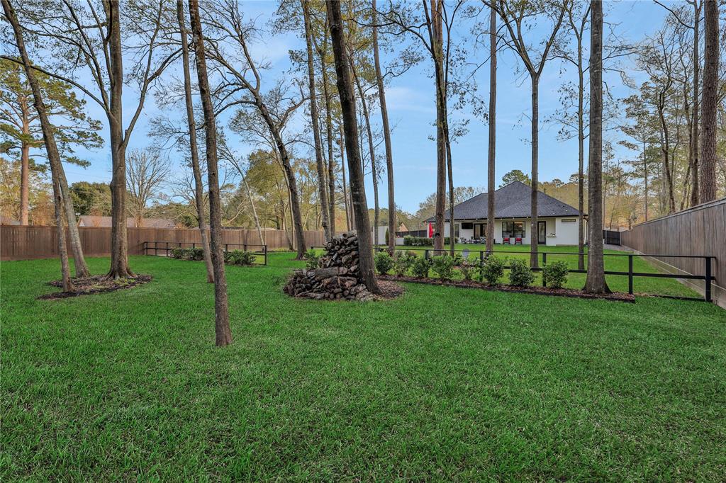 811 Parthenon Place Pl, New Caney, Texas image 44