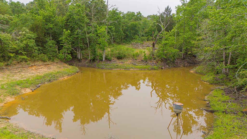 00 TBD Farm To Market  489, Oakwood, Texas image 16