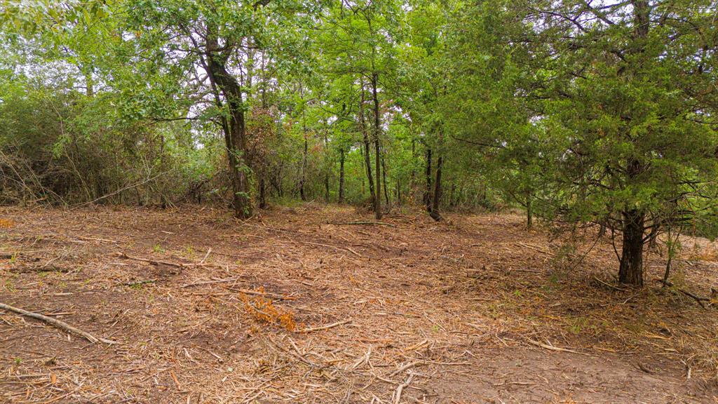 00 TBD Farm To Market  489, Oakwood, Texas image 19