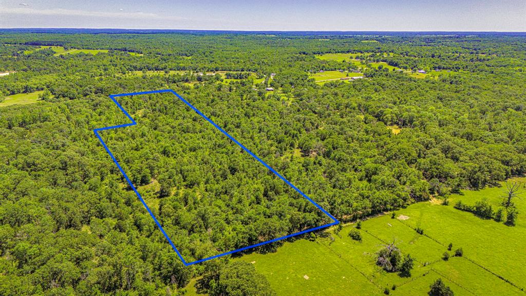00 TBD Farm To Market  489, Oakwood, Texas image 8