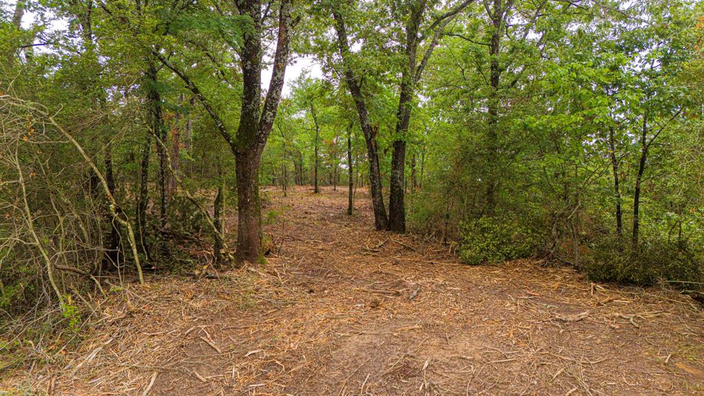 00 TBD Farm To Market  489, Oakwood, Texas image 5