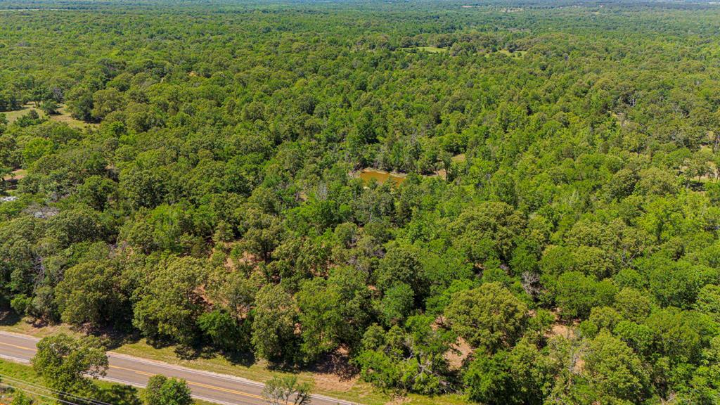 00 TBD Farm To Market  489, Oakwood, Texas image 12