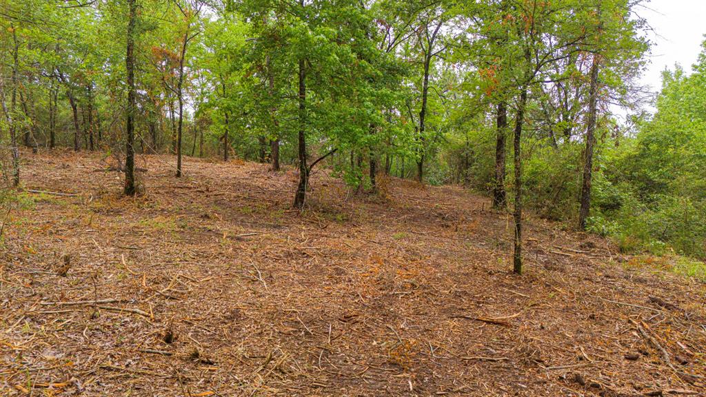 00 TBD Farm To Market  489, Oakwood, Texas image 18