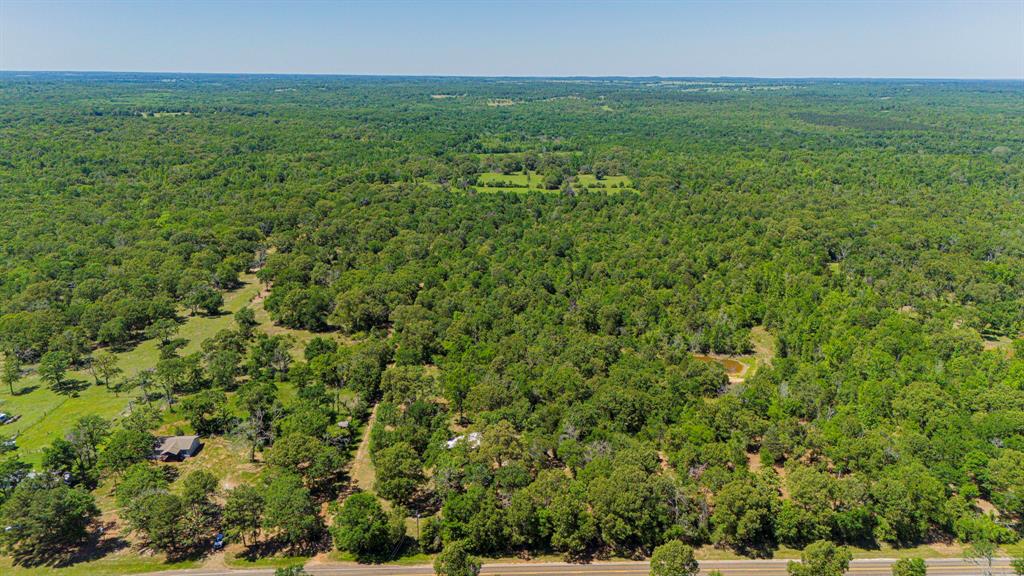 00 TBD Farm To Market  489, Oakwood, Texas image 14
