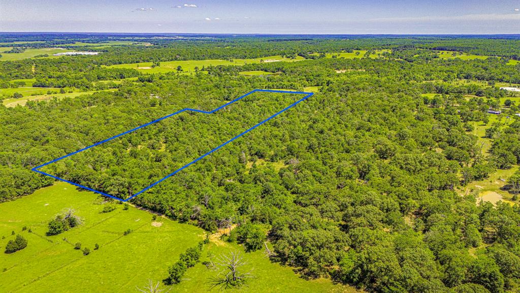 00 TBD Farm To Market  489, Oakwood, Texas image 9
