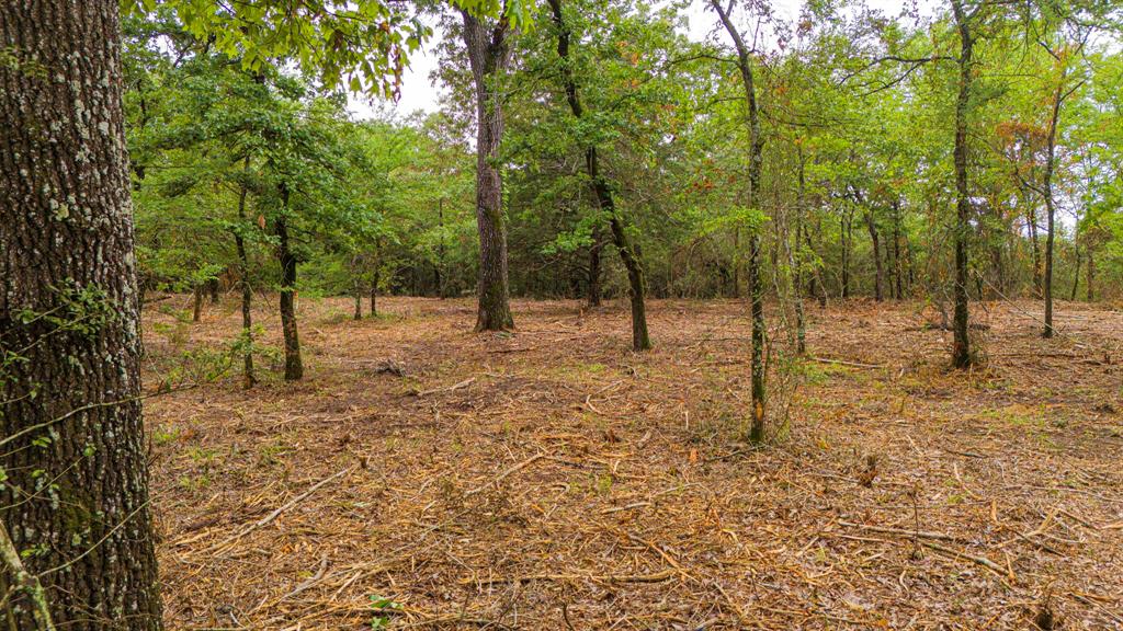 00 TBD Farm To Market  489, Oakwood, Texas image 6